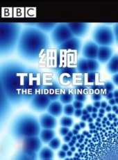 最新2011-2000其它電視劇_好看的2011-2000其它電視劇大全/排行榜_好看的電視劇