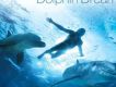 Dolphin Dreams 海豚之夢