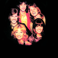 The New Seekers圖片照片_The New Seekers