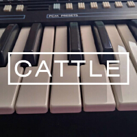 Cattle個人資料介紹_個人檔案(生日/星座/歌曲/專輯/MV作品)