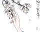 獨りに花を添え專輯_一二三獨りに花を添え最新專輯