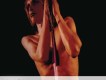 Iggy & The Stooges歌曲歌詞大全_Iggy & The Stooges最新歌曲歌詞