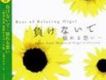 Zard歌曲歌詞大全_Zard最新歌曲歌詞
