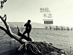 趙善存歌曲歌詞大全_趙善存最新歌曲歌詞