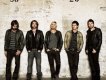 Lovebugs圖片照片