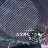 思念路過了我的心窩