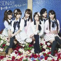SDN48圖片照片_SDN48