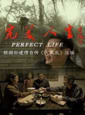 完美人生（2012）線上看_高清完整版線上看_好看的電影