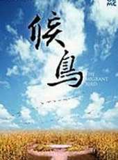 張華演過的電影電視劇線上看_影視作品大全_好看的明星