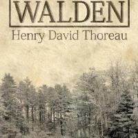Walden圖片照片_照片寫真