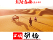 西域胡楊歌曲歌詞大全_西域胡楊最新歌曲歌詞