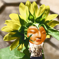 Thus Defiled圖片照片_Thus Defiled
