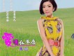 相思情愁歌詞_夏蘭相思情愁歌詞