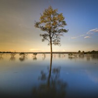 Daybreak | Complete Relaxation and Total Mindfulne專輯_Deep Sleep Music ExpDaybreak | Complete Relaxation and Total Mindfulne最新專輯