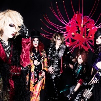 Lycaon圖片照片_Lycaon