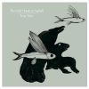 The Little Hands of 歌曲歌詞大全_The Little Hands of 最新歌曲歌詞