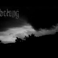 Nebelung圖片照片_Nebelung