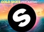 Gold Skies (Instant Party! x Skellism Remix)專輯_Sander van DoornGold Skies (Instant Party! x Skellism Remix)最新專輯