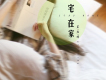 葛雨晴歌曲歌詞大全_葛雨晴最新歌曲歌詞