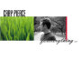Foreverything Vol. 1專輯_Cary PierceForeverything Vol. 1最新專輯