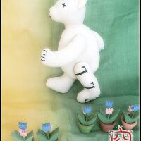 白小熊 獻上圖片照片_白小熊 獻上