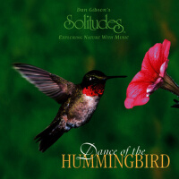 Dance of the Hummingbird
