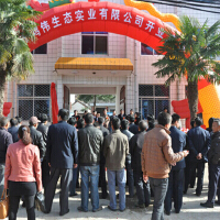 鴻偉圖片照片_鴻偉