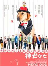 金世佳演過的電影電視劇線上看_影視作品大全_好看的明星