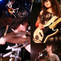 WHITE ASH圖片照片_WHITE ASH