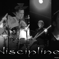 Discipline圖片照片_Discipline