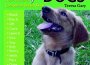 English Dogs