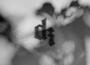 Something to Someone專輯_Dermot KennedySomething to Someone最新專輯