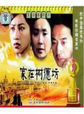 楊立新演過的電影電視劇線上看_影視作品大全_好看的明星