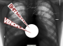Smokin' Revolution Pt.II專輯_VenoflameSmokin' Revolution Pt.II最新專輯