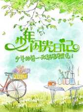 少年閃光日記 2017線上看_全集高清完整版線上看_分集劇情介紹_好看的電視劇