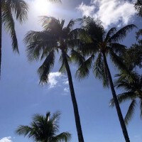 蘇小克最新專輯_新專輯大全_專輯列表