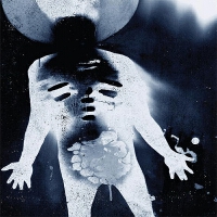 Gavin Clark & Ted Ba圖片照片_Gavin Clark & Ted Ba