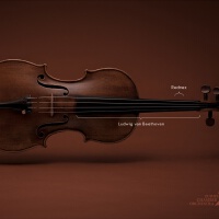 Violin圖片照片_Violin
