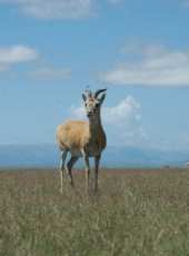 最新紀錄片電影_紀錄片電影大全/排行榜_好看的電影