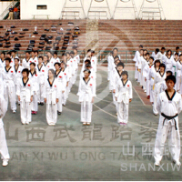 武龍圖片照片_武龍