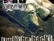 閃耀歌詞_擴音器閃耀歌詞