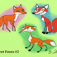 Fleet Foxes圖片照片_Fleet Foxes