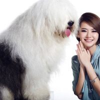 戚薇&李承鉉圖片照片_戚薇&李承鉉
