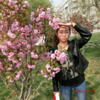 Saralee圖片照片_Saralee