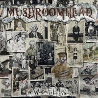 A Wonderful Life專輯_MushroomheadA Wonderful Life最新專輯