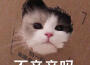 【大合唱】春天來的時候唱首歌給你聽專輯_REI泠千夜【大合唱】春天來的時候唱首歌給你聽最新專輯