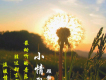 顧靜歌曲歌詞大全_顧靜最新歌曲歌詞