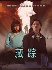 華嚴小鎮之二藏蹤線上看_高清完整版線上看_好看的電影