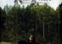 Forest Filosofem專輯_Arisk PriestForest Filosofem最新專輯