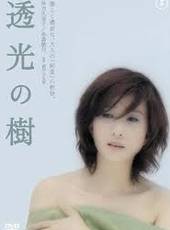 秋吉久美子演過的電影電視劇線上看_影視作品大全_好看的明星